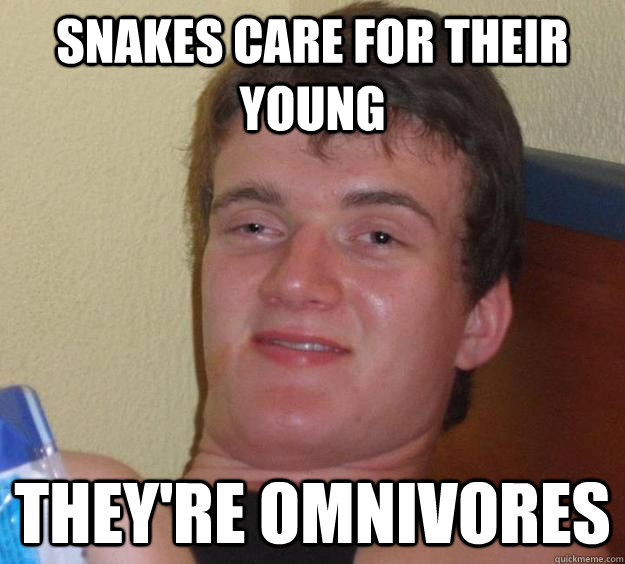 snakes care for their young they're omnivores  10 Guy