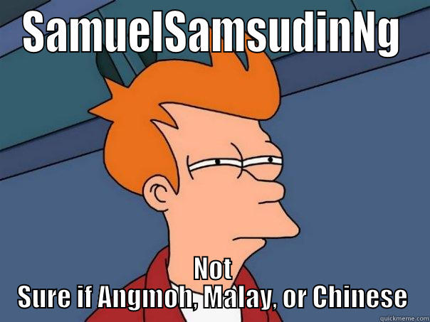 When I read your name - SAMUELSAMSUDINNG NOT SURE IF ANGMOH, MALAY, OR CHINESE Futurama Fry