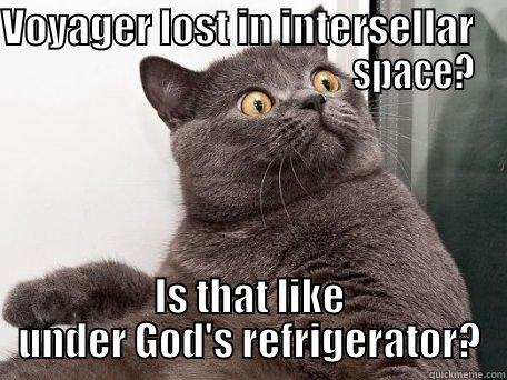 VOYAGER LOST IN INTERSELLAR                                                  SPACE? IS THAT LIKE UNDER GOD'S REFRIGERATOR? conspiracy cat