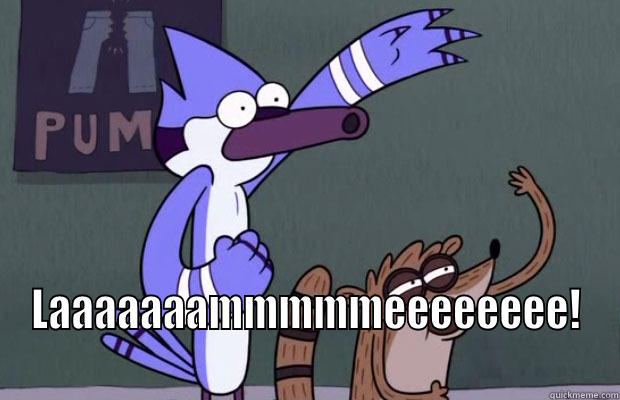 Mordecai! :D -  LAAAAAAAMMMMMEEEEEEEE! Misc