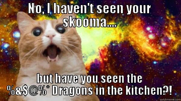 skooma dragon! - NO, I HAVEN'T SEEN YOUR SKOOMA.... BUT HAVE YOU SEEN THE %&$@%* DRAGONS IN THE KITCHEN?! Misc