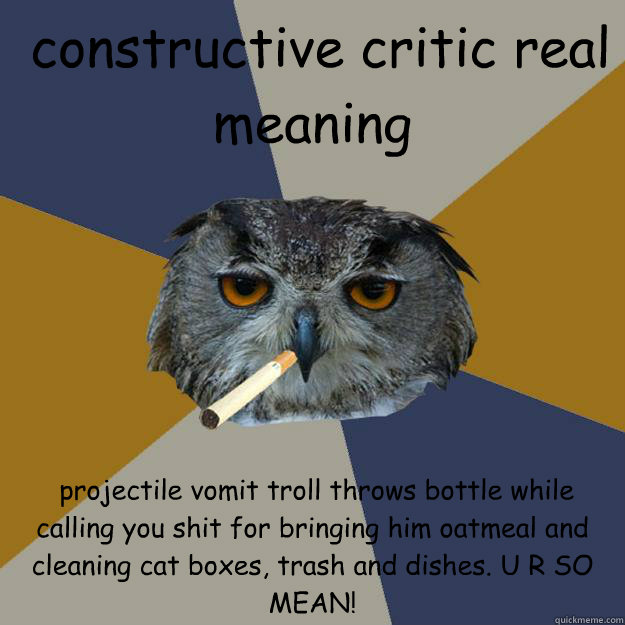  constructive critic real meaning  projectile vomit troll throws bottle while calling you shit for bringing him oatmeal and cleaning cat boxes, trash and dishes. U R SO MEAN!  Art Student Owl