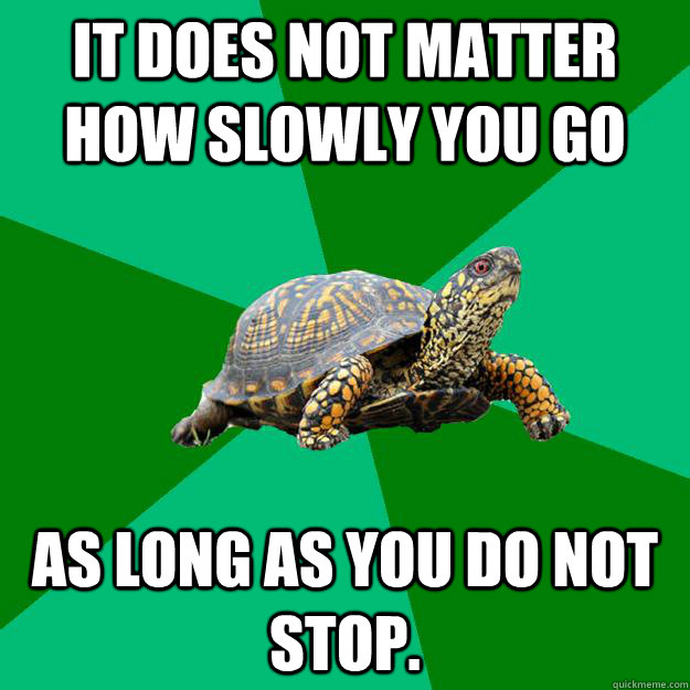 It does not matter how slowly you go  as long as you do not stop.  Torrenting Turtle