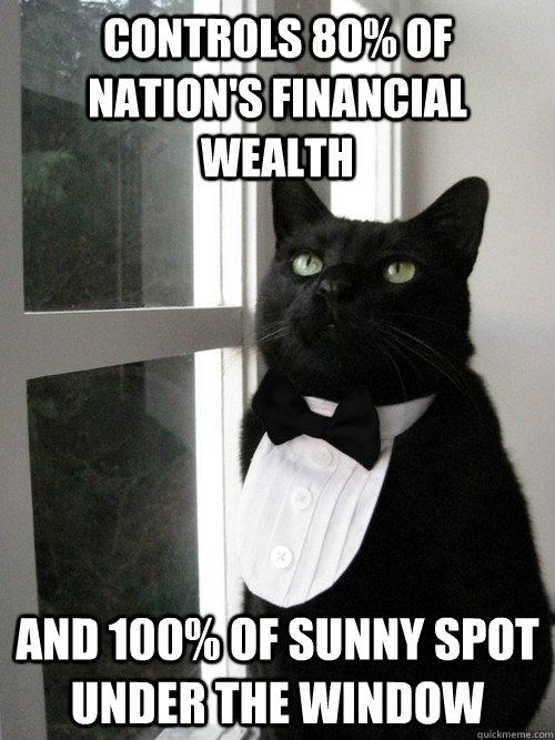 CONTROLS 80% OF NATION'S FINANCIAL WEALTH AND 100% OF SUNNY SPOT UNDER THE WINDOW  One Percent Cat