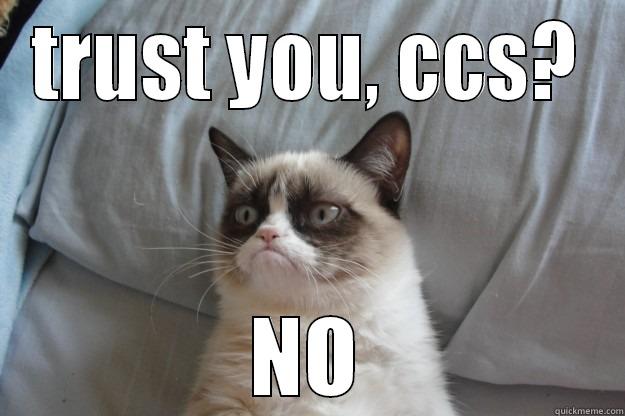 grumpy cat trust, no - TRUST YOU, CCS? NO Grumpy Cat