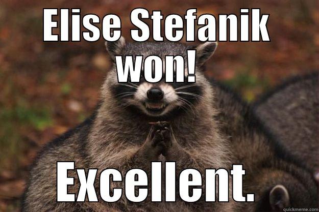 ELISE STEFANIK WON! EXCELLENT. Evil Plotting Raccoon