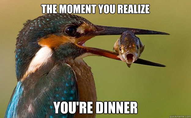 The moment you realize You're Dinner  dinner