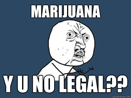 MARIJUANA y u no legal??  Y U No