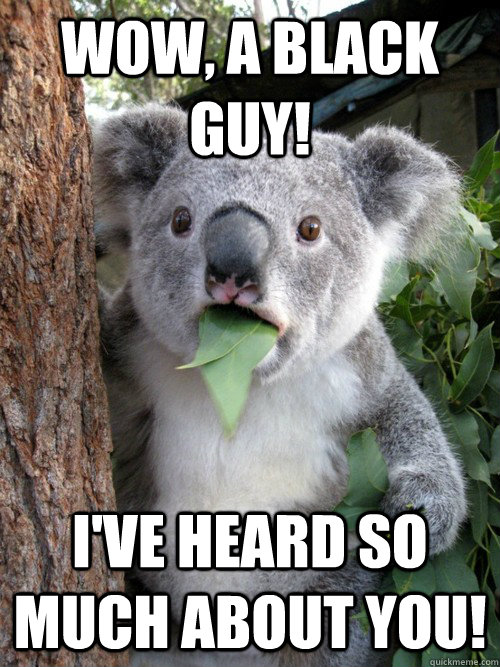 wow, a black guy! i've heard so much about you!  Surprised Koala