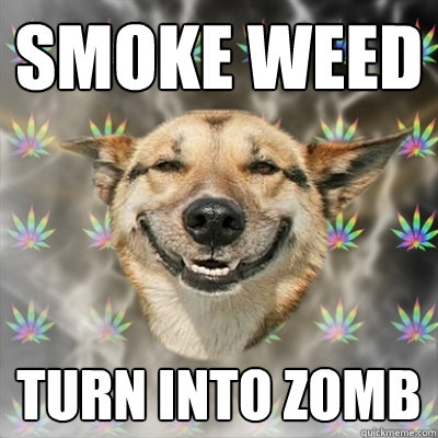 Smoke weed turn into zomb  Stoner Dog