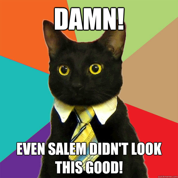 damn! even salem didn't look this good!  Business Cat