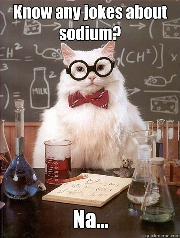 Know any jokes about sodium? Na...  Chemistry Cat