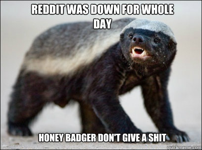 Reddit was down for whole day Honey badger don't give a shit  