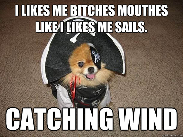 I likes me bitches mouthes like I likes me sails. Catching wind  