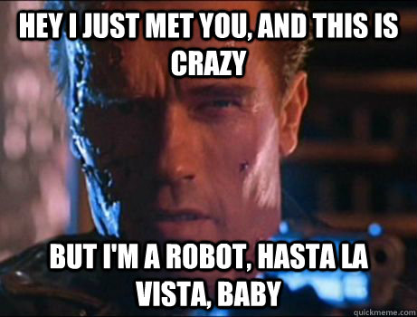 Hey I just met you, and this is crazy But I'm a robot, Hasta la Vista, Baby  Arnold