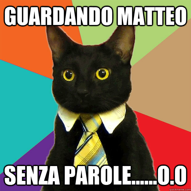 guardando matteo senza parole......O.o  Business Cat