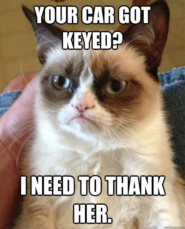 Your car got keyed? I need to thank her.  Grumpy Cat