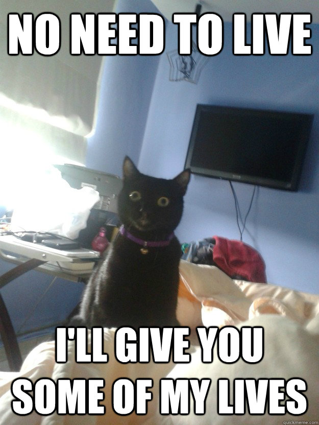 no need to live I'll give you some of my lives   overly attached cat