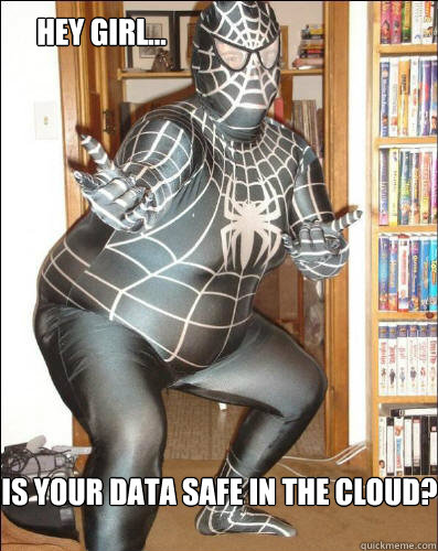 Is your data safe in the cloud? Hey Girl... - Is your data safe in the cloud? Hey Girl...  Ryan Gosling Hey Girl