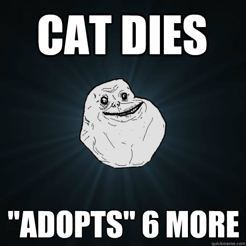 Cat Dies 