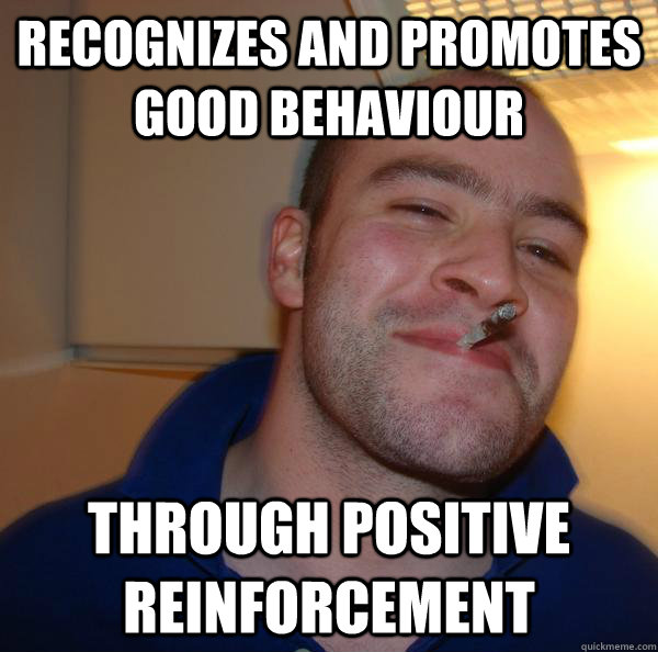 Recognizes and promotes good behaviour through positive reinforcement - Recognizes and promotes good behaviour through positive reinforcement  Misc