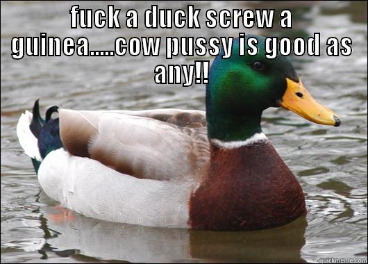 darling duck - FUCK A DUCK SCREW A GUINEA.....COW PUSSY IS GOOD AS ANY!!  Actual Advice Mallard