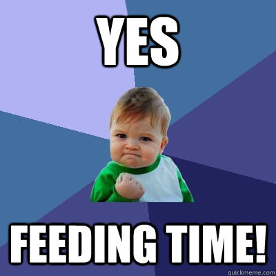 YEs Feeding time!  Success Kid