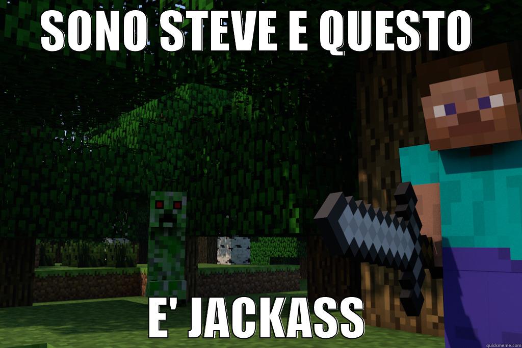 SONO STEVE E QUESTO E' JACKASS Misc