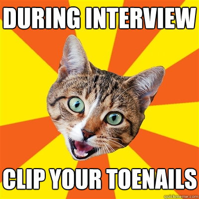 During interview clip your toenails  Bad Advice Cat