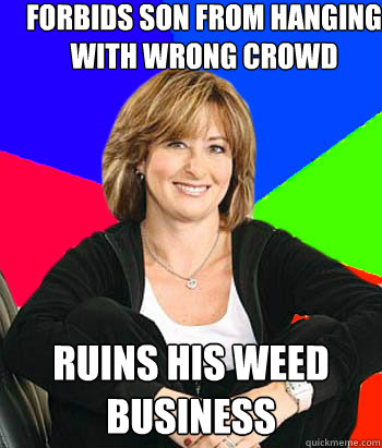 forbids son from hanging with wrong crowd Ruins his weed business  Sheltering Suburban Mom