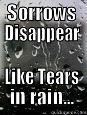 SORROWS DISAPPEAR LIKE TEARS IN RAIN... Misc