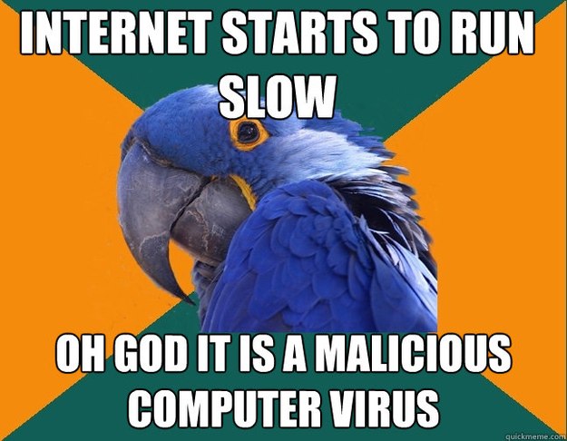 Internet starts to run slow Oh god It is a malicious computer virus - Internet starts to run slow Oh god It is a malicious computer virus  Paranoid Parrot