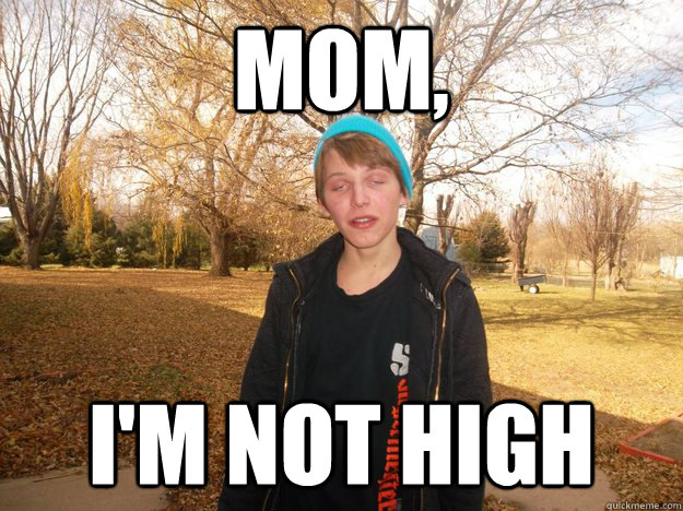 Mom, I'm not high - Mom, I'm not high  Misc