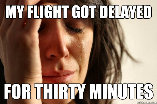 my flight got delayed for thirty minutes - my flight got delayed for thirty minutes  First World Problems