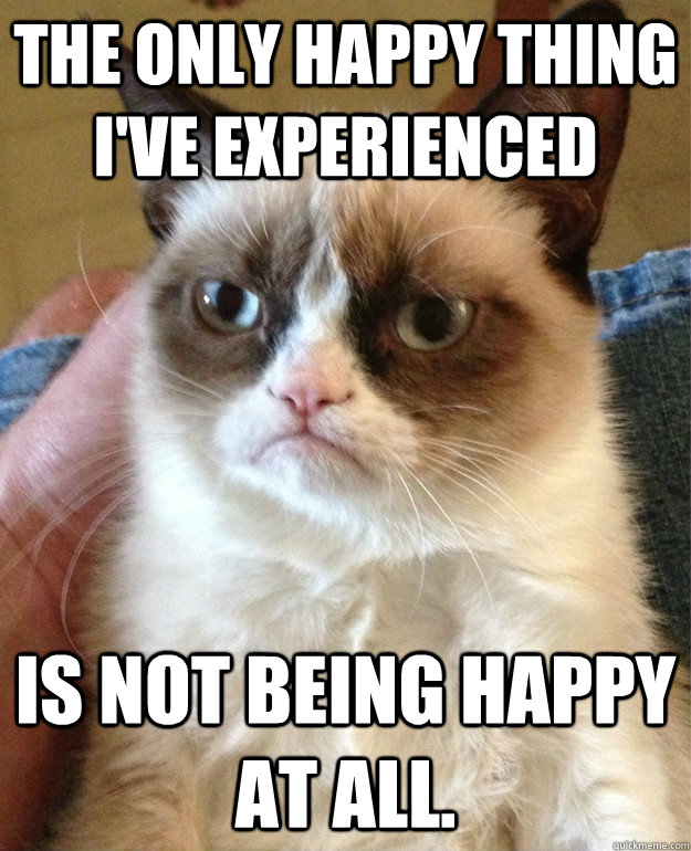 The Only happy thing I've Experienced  Is Not being happy at all.  Grumpy Cat