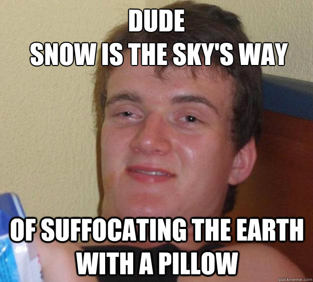 Dude
 Snow is the sky's way Of suffocating the earth with a pillow - Dude
 Snow is the sky's way Of suffocating the earth with a pillow  10 Guy