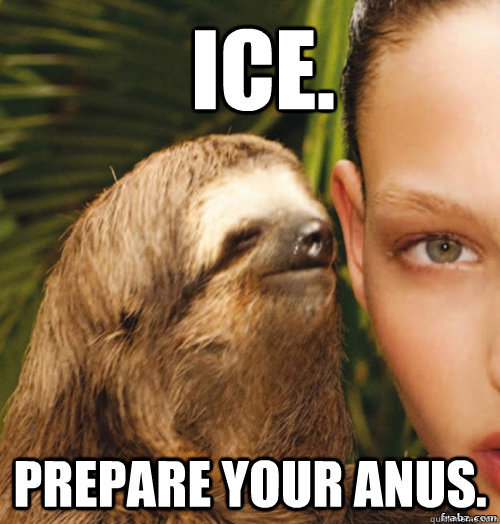 Ice. Prepare your Anus.  rape sloth