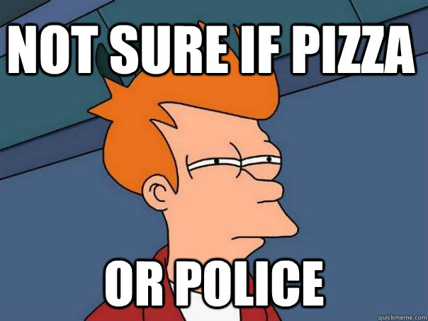 Not sure if pizza or police  Futurama Fry