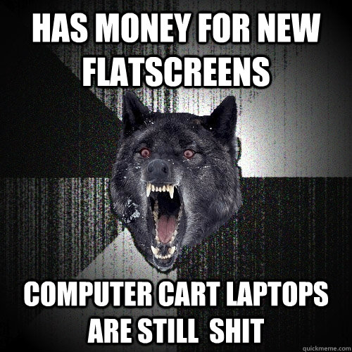 Has money for new flatscreens Computer cart laptops are still  shit  Insanity Wolf