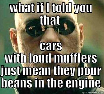 oh come on - WHAT IF I TOLD YOU THAT  CARS WITH LOUD MUFFLERS JUST MEAN THEY POUR BEANS IN THE ENGINE Matrix Morpheus