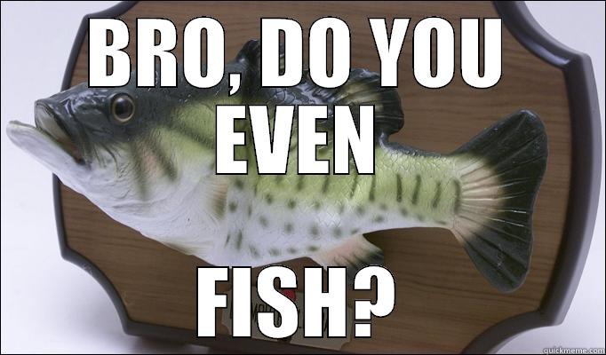 BRO, DO YOU EVEN FISH? Misc