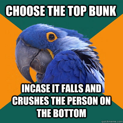 choose the top bunk incase it falls and crushes the person on the bottom  Paranoid Parrot