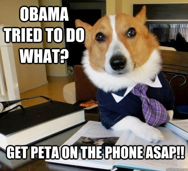 Obama tried to do what? Get Peta on the phone asap!!  Lawyer Dog