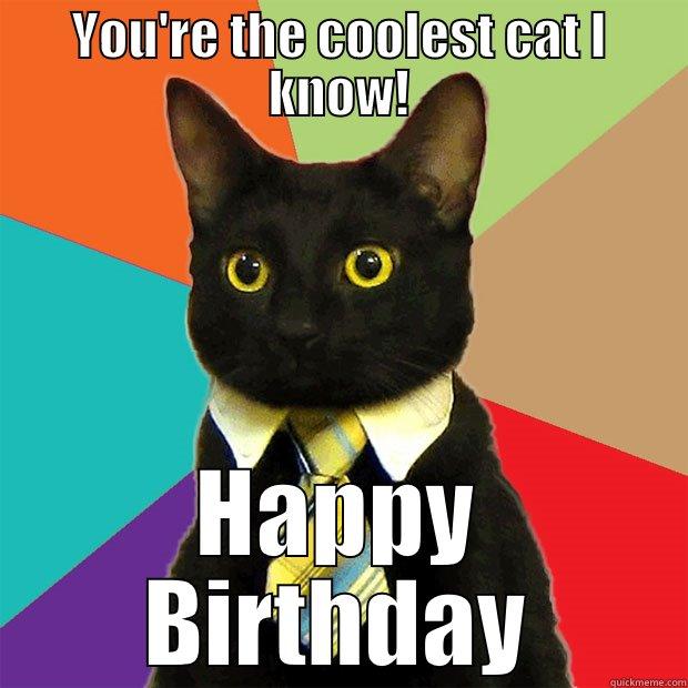 YOU'RE THE COOLEST CAT I KNOW! HAPPY BIRTHDAY Business Cat