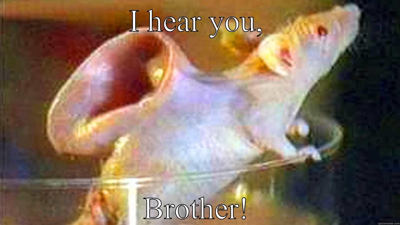 Earmouse hears you - I HEAR YOU, BROTHER! Misc