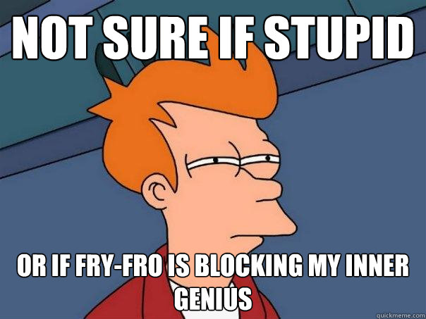 not sure if stupid or if fry-fro is blocking my inner genius - not sure if stupid or if fry-fro is blocking my inner genius  Futurama Fry