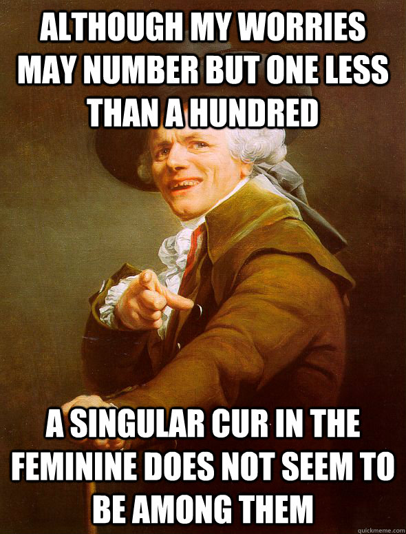 Although my worries may number but one less than a hundred a singular cur in the feminine does not seem to be among them  Joseph Ducreux