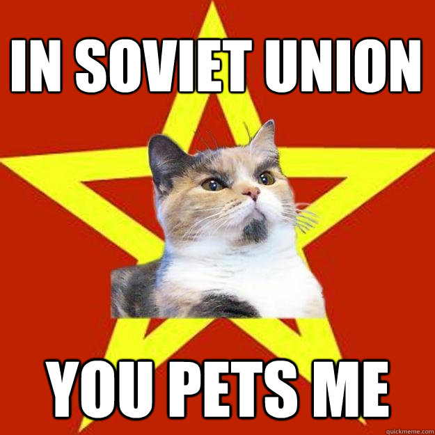 in Soviet Union you pets me  Lenin Cat