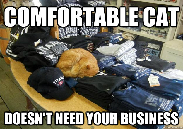 Comfortable Cat Doesn't need your business  Comfortable Cat