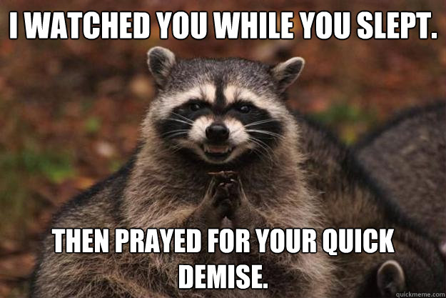 I watched you while you slept. Then prayed for your quick demise.   Evil Plotting Raccoon